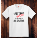 Personalized Promoted To Big Brother Youth Tagless, 100% Cotton T-Shirt, Hanes