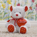 Plush Toy Lovey Teddy Bear White Red Heart Shaped Pillow Perfect Gift