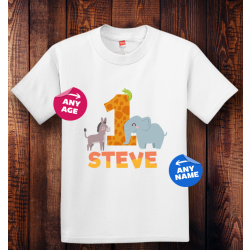 Personalized Birthday Youth Tagless, 100% Cotton T-Shirt, Hanes