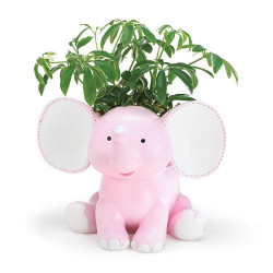 Adorable Decorative Elephant Plant Holder A Great Gift For A Baby Girl